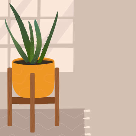 Modern banner with tropical house plant and window. Stylish and elegant card in scandinavian style. Vector poster design with copy spaceのイラスト素材