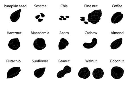 Black color silhouette with different nuts and seeds. Organic healthy food concept. Vector icons for your designのイラスト素材
