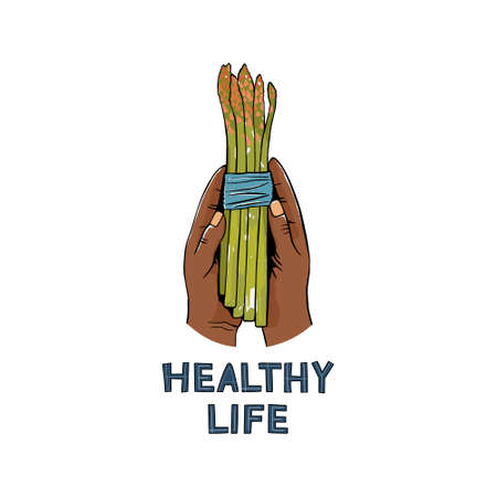 Asparagus cooking concept. Woman hands holds fresh bunch of asparagus isolated on white background with text. Healthy life idea. Vectorのイラスト素材