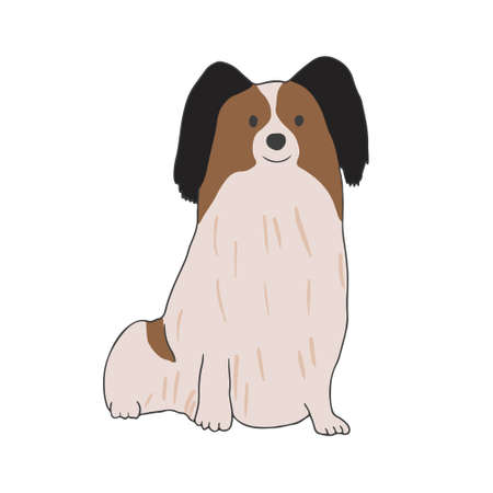 Papillon breed. Cute dog of decorative breed. Small adorable doggy sitting on white background. Realistic purebred pet. Isolated flat vector illustrationのイラスト素材