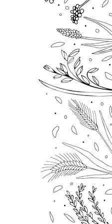Hand drawn vertical banner with empty space. Grains plants and cereal rye barley and wheat ear spikes. Vector sketch illustration for food package design template, engraving food.のイラスト素材