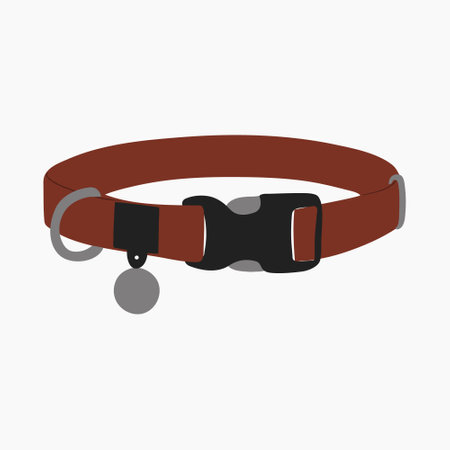 Dogs goods and supplies. Pets walking, furniture, toys. Puppies accessories, stuff. training post. Flat vector illustration isolated on white backgroundのイラスト素材