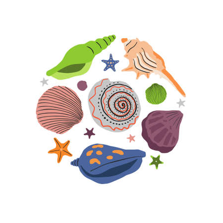 Card with sea underwater shells. Seashells, undersea molluscs. marine mollusks. Flat vector illustration isolated on white backgroundのイラスト素材