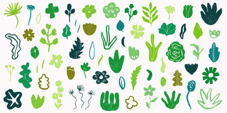Set of trendy icons with leaves and flowers abstract shapes vector. Modern minimalist art. Flat creative design for posters or social media content.のイラスト素材