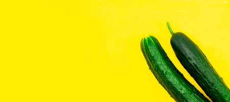 fresh young early cucumbers isolated on a yellow background with a blank space for your textの写真素材