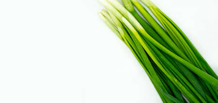 green fresh onion feathers on a white isolated background with a blank space for your textの写真素材