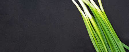 green fresh onion feathers on a dark isolated background with a blank space for your text