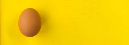 the egg is brown isolated on a yellow background with space for your textの写真素材