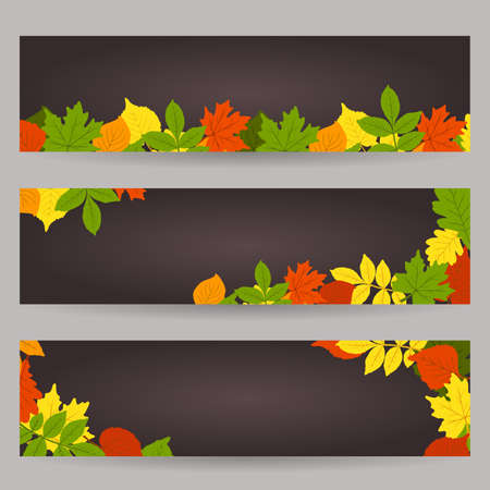 The poster is a fashionable autumn theme set. The leaves are oak, birch, aspen, maple. Space for copying. Applicable for printing, posters, postcards, websites.Vector illustration.のイラスト素材
