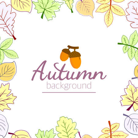 A frame made of autumn leaves. The leaves are oak, birch, aspen, maple. Autumn theme. Space for copying. Applicable for printing, posters, postcards, websites. Vector illustration.のイラスト素材