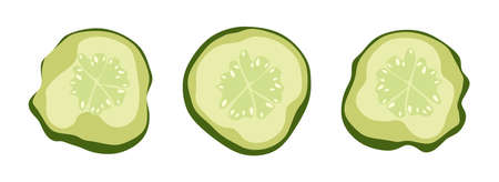Cucumbers pickled slices set. Vector illustration. A concept for stickers, posters, postcards, websitesのイラスト素材