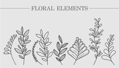 Flower collection of branches of leaves and botany. For wedding invitations, postcards, posters, labels of cosmetics and perfumes, packaging paper.のイラスト素材