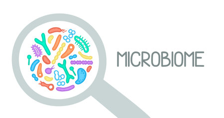 Microbiome illustration of bacteria. vector image. gastroenterologist. Bifidobacteria, lactobacilli. lactic acid bacteria. illustration in a flatのイラスト素材