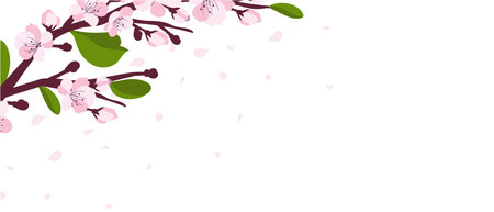 Background with cherry blossom. A branch with cherry blossoms isolated on a white background. Japanese sakura. Vectorのイラスト素材