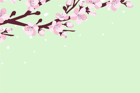 Background with cherry blossom. A branch with cherry blossoms isolated on a white background. Japanese sakura. Vectorのイラスト素材