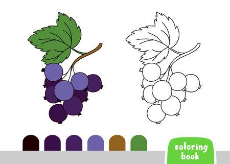 Coloring Book for Children Black Currant Page for books Magazines Coloring Vectorのイラスト素材