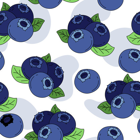 Blueberry Pattern seamless on white background Vectorのイラスト素材
