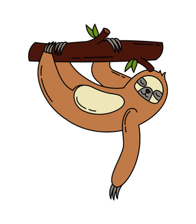 Sloth doodle Vector color illustration isolated on whiteのイラスト素材
