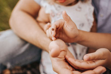 Child hand finger with lady bug crawling on it. Peopleの写真素材