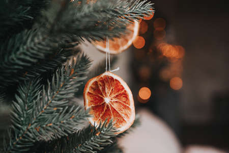 christmas decoration. Dried orange on the tree.の写真素材