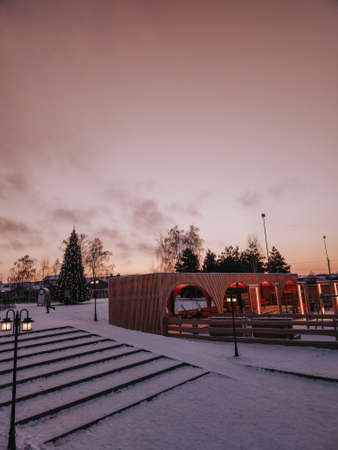 natural park in winter. snowの写真素材