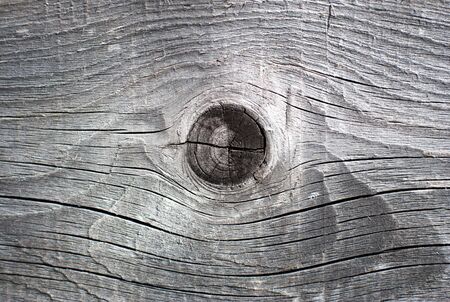 Close up of the grain in natural wood.の写真素材