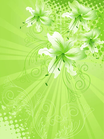 lily flower backgroundのイラスト素材