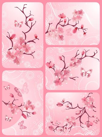 Cherry blossom setの写真素材