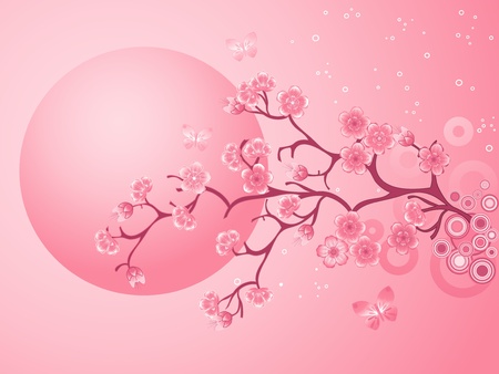 Pink Cherry Blossoms Sakuraのイラスト素材