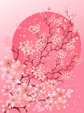 Beautiful spring. Cherry blossom backgroundのイラスト素材