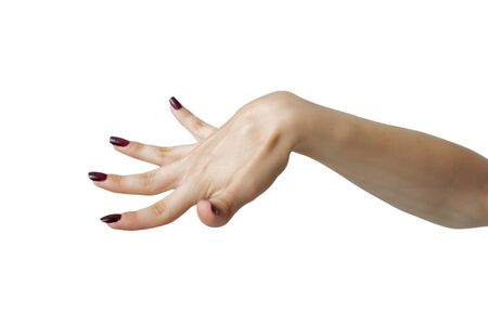 female hand on the isolated backgroundの写真素材