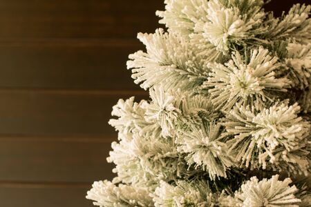 Tree with branch in snow on wooden backgroundの写真素材