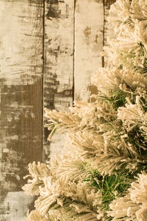 Tree with branch in snow on wooden backgroundの写真素材