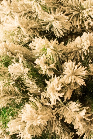 Tree with branch in snow. Close upの写真素材