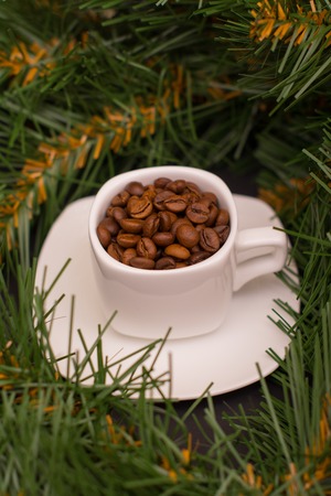 Coffee beans in a white cup and fir branchの写真素材