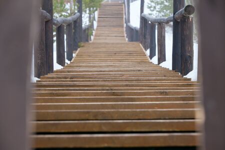 Photo track is made of wood in the forest