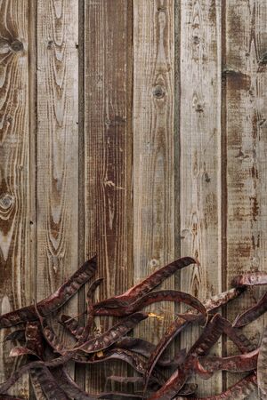 Dry the pods of acacia on an old wooden vintage background. Acacia seeds. Natural wood. Wood boards. The view from the top. Space for text.の写真素材