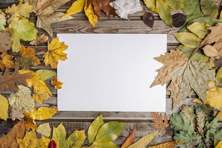 Dry autumn leaves on old wooden vintage background. Natural wood. Wood boards. The view from the top. Space for text.の写真素材