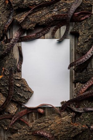 Frame made of wood bark. Wood texture. The view from the top. Space for text. Natural wood. Eco style.の写真素材
