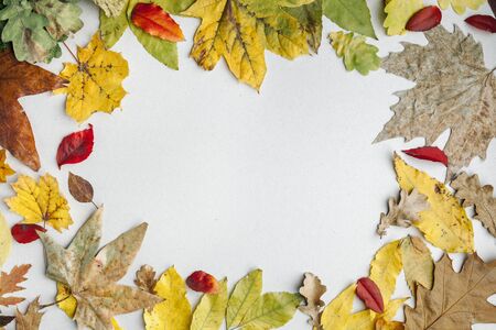 Autumn background. Yellow orange red dry autumn leaves on a light background. The view from the top. Vintage style. Space for text.の写真素材