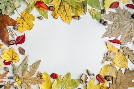 Autumn background. Yellow orange red dry autumn leaves on a light background. The view from the top. Vintage style. Space for text.の写真素材