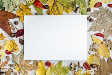 Autumn background. Yellow orange red dry autumn leaves on a light background. The view from the top. Vintage style. Space for text.の写真素材