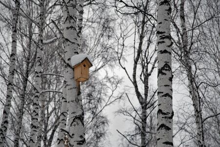 nesting box