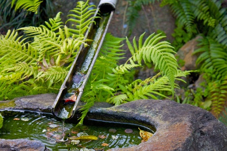 Japanese Watering Bambooの写真素材