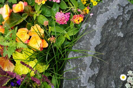High Angle View Of Colorful Flowers And Plants With A Big Stoneの写真素材