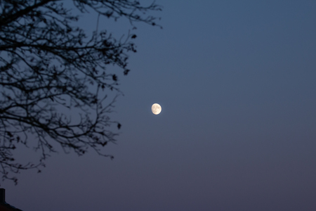 Moon in the eveningの写真素材