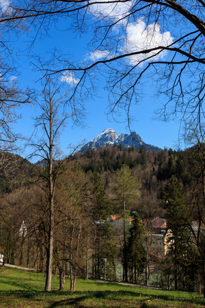The castle Neuschwanstein in Schwangau at Fuessen in Bavaria Germanyのeditorial素材