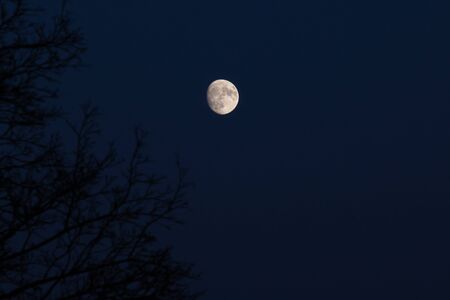 Moon in the eveningの写真素材