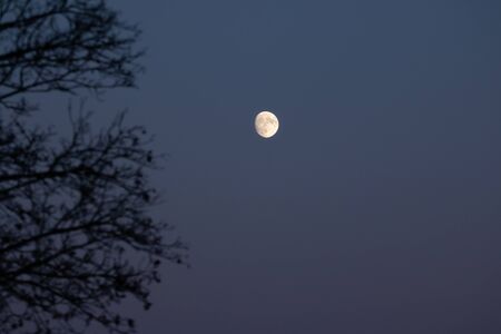 Moon in the evening