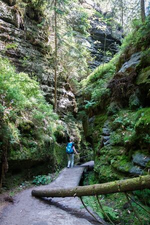 Moss-covered rock passage in the Elbe Sandstone Mountains of Saxon Switzerlandの写真素材